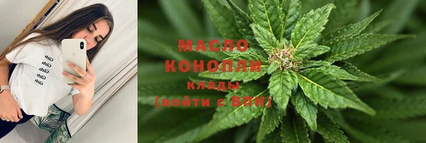 гашик Дмитриев