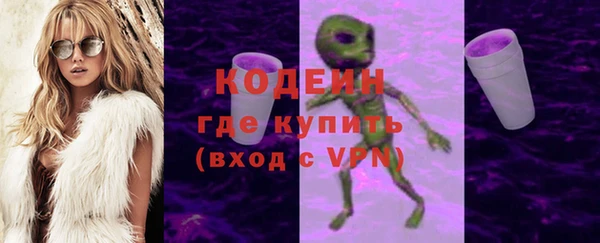 гашик Дмитриев