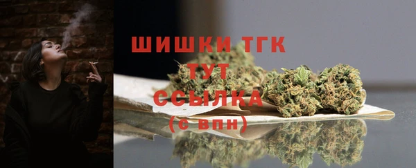 гашик Дмитриев