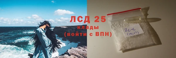 гашик Дмитриев