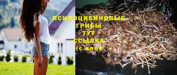 не бодяженный Чердынь
