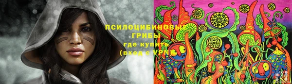 марки lsd Дмитровск