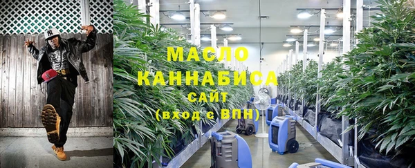 гашик Дмитриев