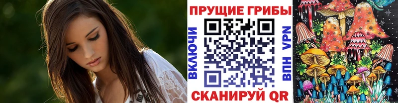 Псилоцибиновые грибы Cubensis Ладушкин