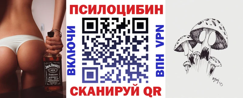 Галлюциногенные грибы Psilocybine cubensis Купить Ладушкин